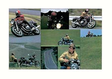 GS-850 shaftie GS850G